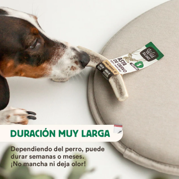 Wild Balance ASTA DE CIERVO PARTIDA Snack para perros
