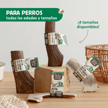 Wild Balance ASTA DE CIERVO PARTIDA Mordedor Natural para perros