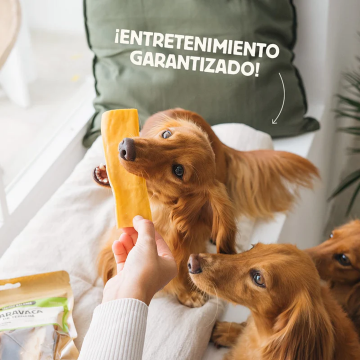 Wild Balance CARAVACA DE TERNERA Snack para perros