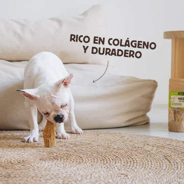 Wild Balance NERVIO DE TERNERA Snack para perros