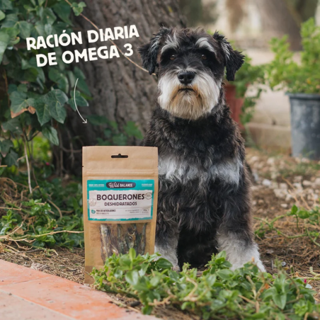 Wild Balance BOQUERONES DESHIDRATADOS Snack para perros y gatos