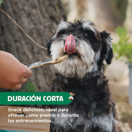 Wild Balance BOQUERONES DESHIDRATADOS Snack para perros y gatos