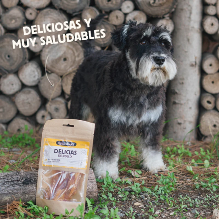 Wild Balance DELICIAS DE POLLO Snack para perros y gatos