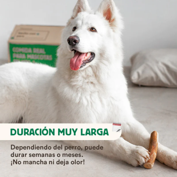Wild Balance MADERA DE OLIVO Mordedor Natural para perros