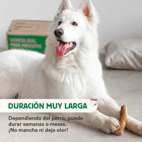 Wild Balance MADERA DE OLIVO Mordedor Natural para perros