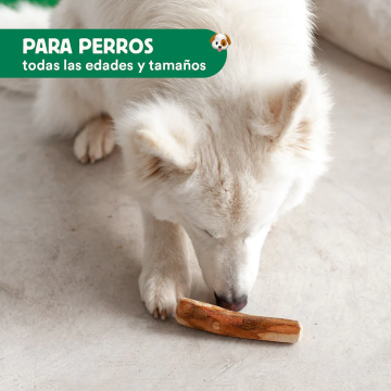 Wild Balance MADERA DE OLIVO Mordedor Natural para perros