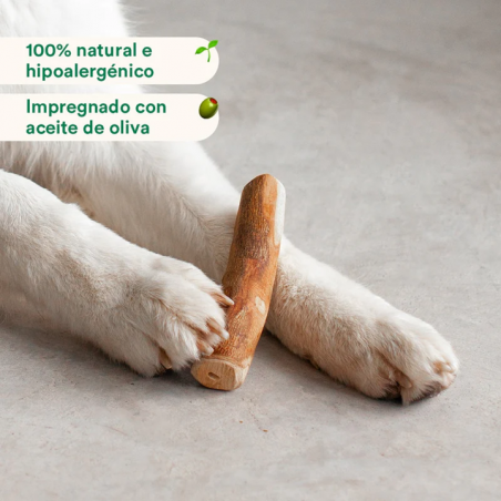 Wild Balance MADERA DE OLIVO Mordedor Natural para perros