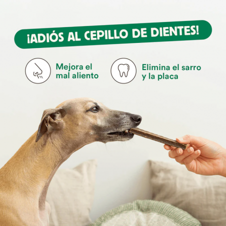 Wild Balance STICK DENTAL FUERA PLACA Snack para perros