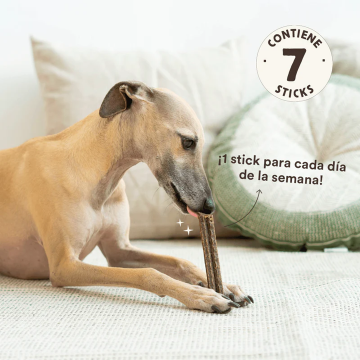 Wild Balance STICK DENTAL FUERA PLACA Snack para perros