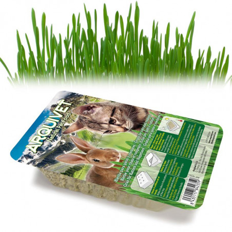 Arquivet Hierba para gatos en bandeja 100 gr