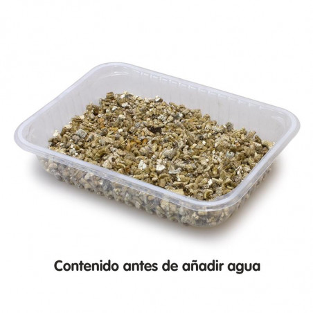 Arquivet Hierba para gatos en bandeja 100 gr