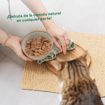 Wild Balance Gato Lata BARF cocinado al vapor CERDO con Verduras Frescas