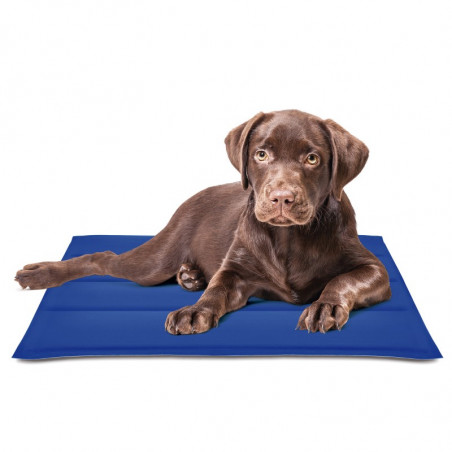 Nayeco Manta Refrigerante Cool Mat Gel Azul 50 x 90 cm