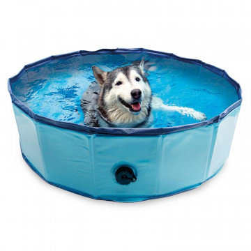 Arquivet Piscina para Perros 120x30 cm