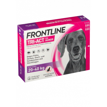 Caja 6 pipetas Frontline 20 - 40 Kg