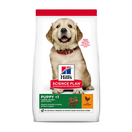 Hill's Puppy Razas Grandes