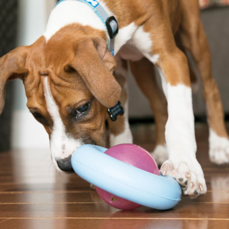 KONG Gyro Puppy Assorted