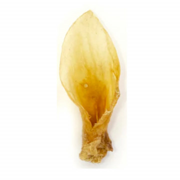 Lenda Nature Snack Oreja de Cordero