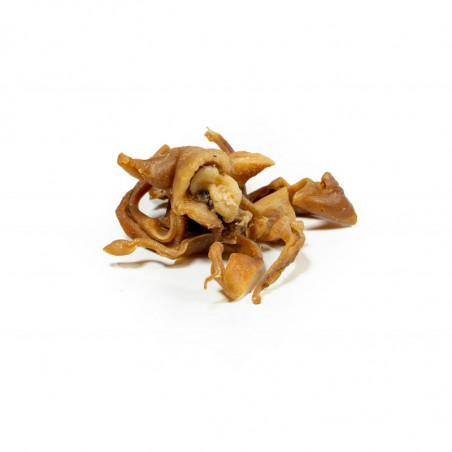 Gloria Snackys Tiras de Oreja de Cerdo