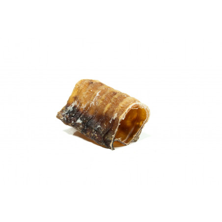 Gloria Snackys Tráquea de Ternera