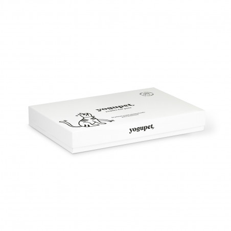 Yogupet Yogurt Funcional DigesPet (Problemas Digestivos) para Gatos