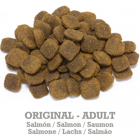 Arquivet Dog Original Adult Salmón