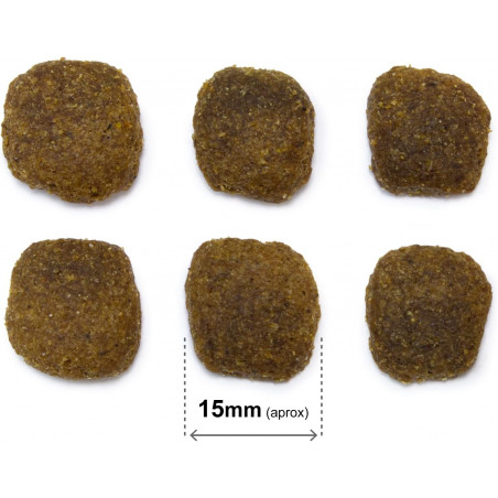 Arquivet Dog Original Adult Salmón