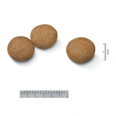 Royal Canin Medium Adult croqueta