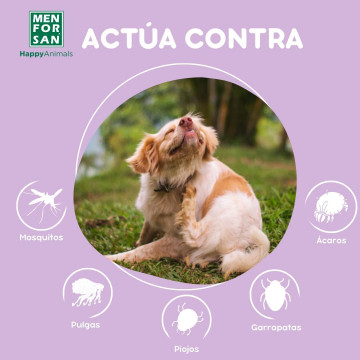 Menforsan pipeta Anti-Insectos perros 2 unidades