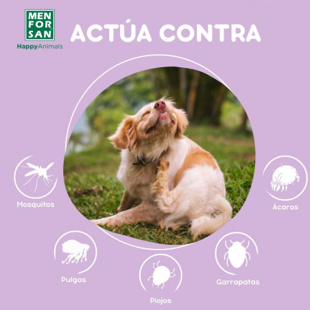 Menforsan pipeta Anti-Insectos perros 2 unidades