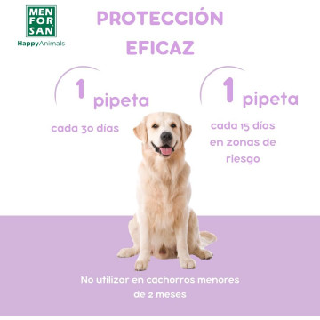 Menforsan pipeta Anti-Insectos perros 2 unidades