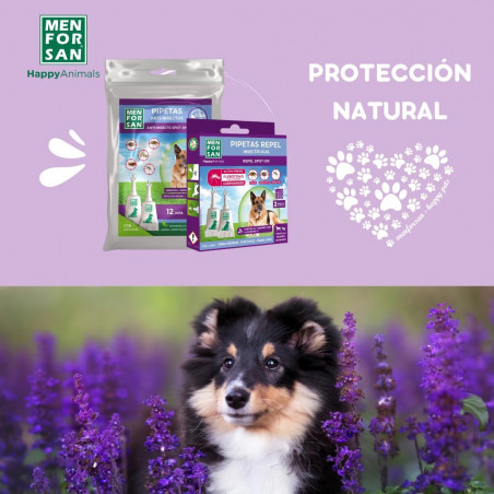 Menforsan pipeta Anti-Insectos perros 2 unidades