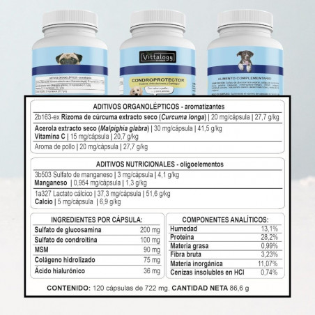 Vittalogy Condroprotector Para Perros 120 Cápsulas