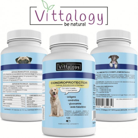 Vittalogy Condroprotector Para Perros 120 Cápsulas