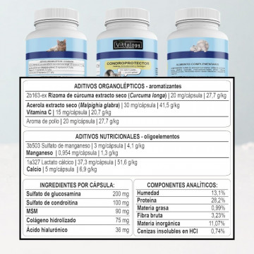Vittalogy Condroprotector Para Gatos 120 Cápsulas
