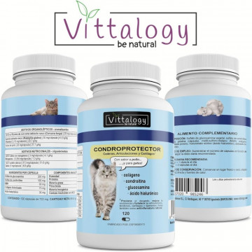 Vittalogy Condroprotector Para Gatos 120 Cápsulas etiqueta