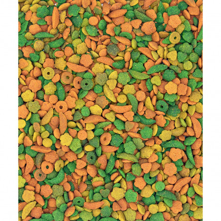 Versele-Laga NutriBird P15 Tropical Pienso de Mantenimiento Para Loros pienso