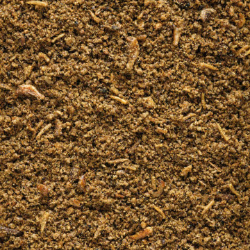 Versele-Laga NutriBird Paté De Insectos Para Pájaros Gusanos