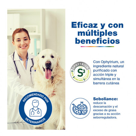 Douxo S3 Seb Mousse Antiolor Y Seborregulador para Perros y Gatos
