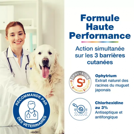 Douxo S3 Pyo Champú Desinfectante para Perros y Gatos
