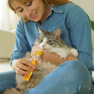 Churu Cat Pops Receta de Pollo