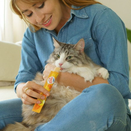Churu Cat Pops Receta de Pollo