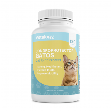 Vittalogy Condroprotector Para Gatos 120 Cápsulas