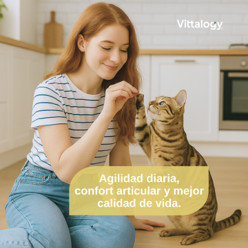 Vittalogy Condroprotector Para Gatos 120 Cápsulas