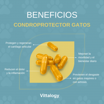 Vittalogy Condroprotector Para Gatos 120 Cápsulas