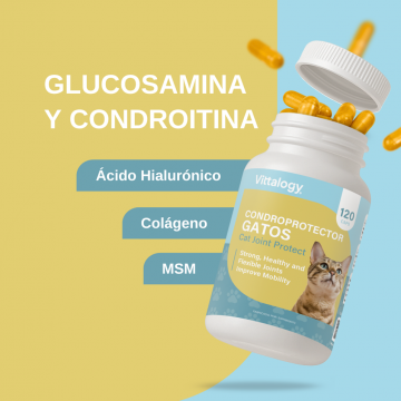 Vittalogy Condroprotector Para Gatos 120 Cápsulas