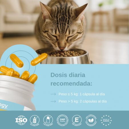 Vittalogy Condroprotector Para Gatos 120 Cápsulas