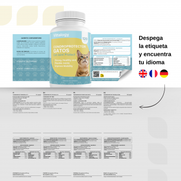 Vittalogy Condroprotector Para Gatos 120 Cápsulas