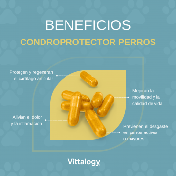 Vittalogy Condroprotector Para Perros 120 Cápsulas