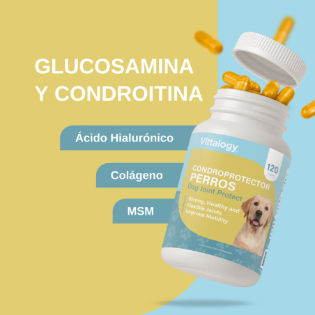 Vittalogy Condroprotector Para Perros 120 Cápsulas